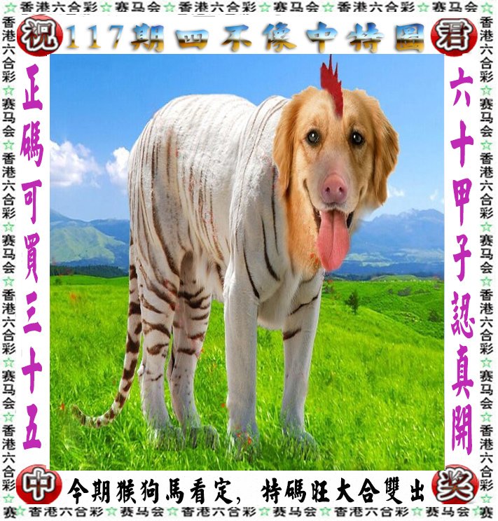 揭秘四不像王中王一必出一肖的神秘面纱，揭秘四不像王中王，神秘生肖预测揭秘