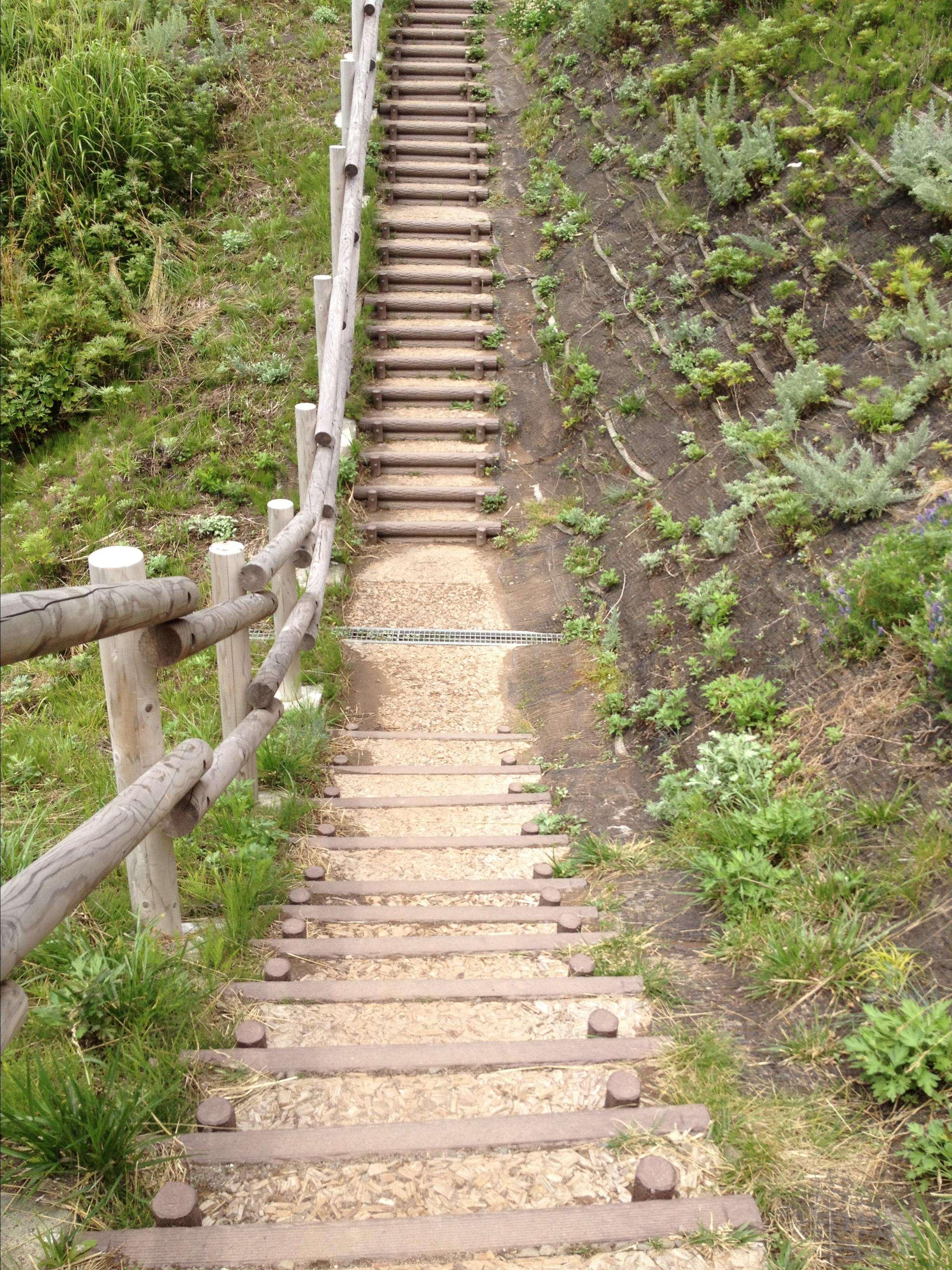 山上王中王与生肖之谜，山上王中王与生肖之谜探秘