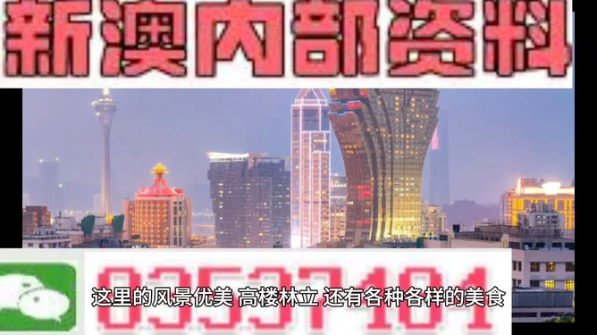 新澳门精准四肖期准，探索与解析，澳门精准四肖期准解析探索