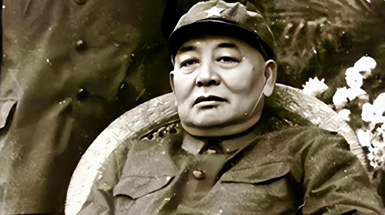 中国人民志愿军的主要领导成员及其卓越贡献，中国人民志愿军主要领导成员及其卓越贡献概览