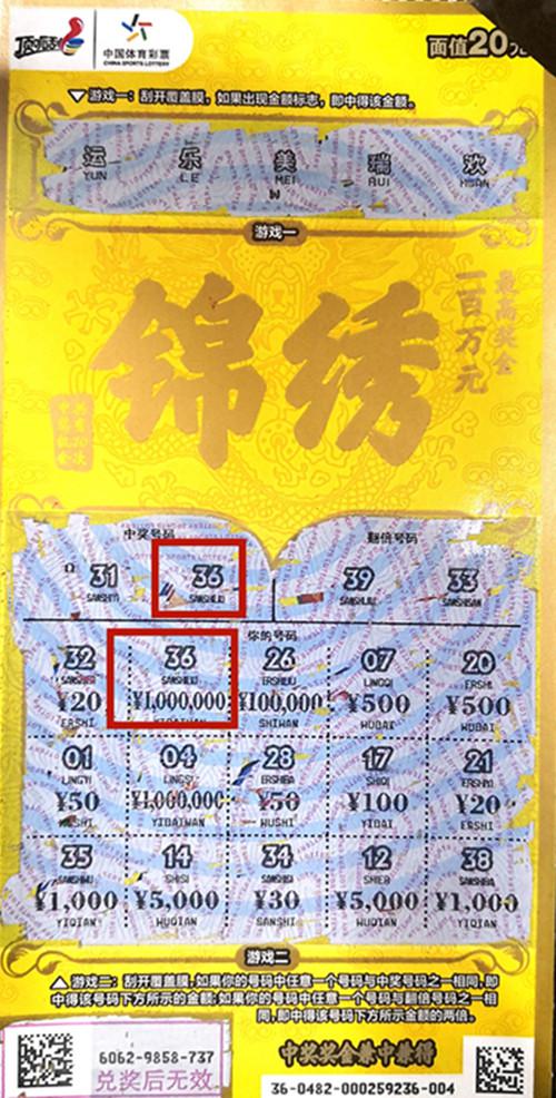 王中王六肖一码期期中的奥秘与探索，王中王六肖一码期奥秘揭秘与探索