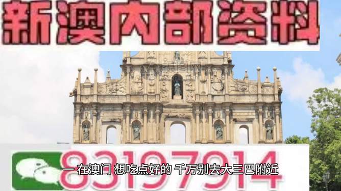 新澳门正版精准免费大全，探索与解析，澳门正版精准资料探索与解析大全