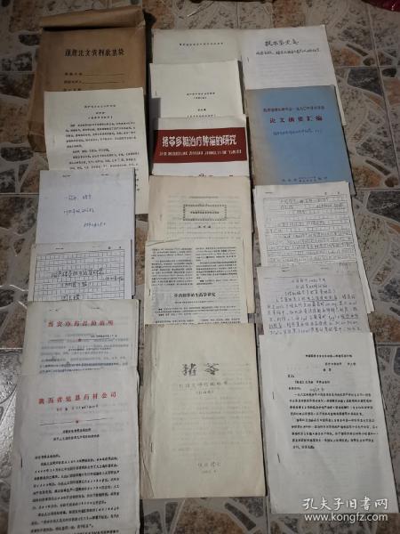 正版资料最老版，历史价值与现代意义，正版资料最老版，历史价值与现代意义的探索