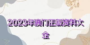 澳门正版资料大全完整，探索2025年的澳门，澳门正版资料大全揭秘，探索未来的澳门之旅至2025年