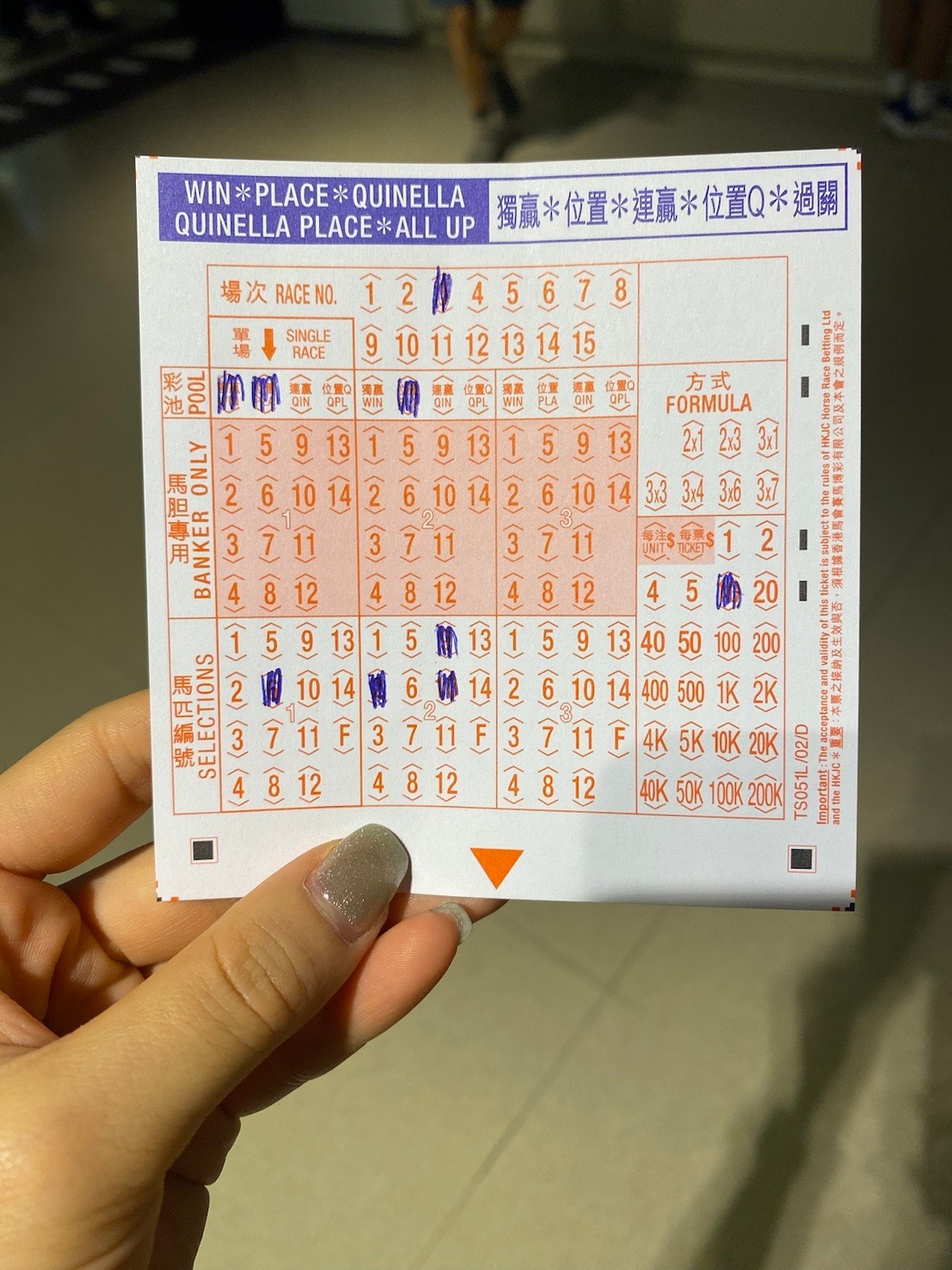 王中王赛马会平特一肖，速度与荣耀的完美结合，赛马盛宴，速度与荣耀的完美融合——王中王赛马会平特一肖