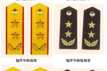 文职干部军衔，军队中的特殊荣誉与职责担当，文职干部军衔，军队荣誉与职责担当的标识
