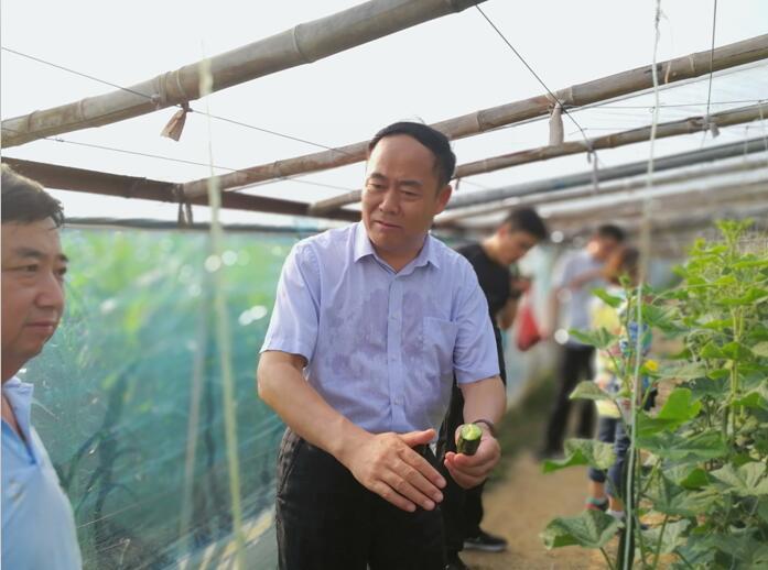 中国今日新闻十条（2020年5月16日），中国今日新闻概览（2020年5月16日）十条最新资讯