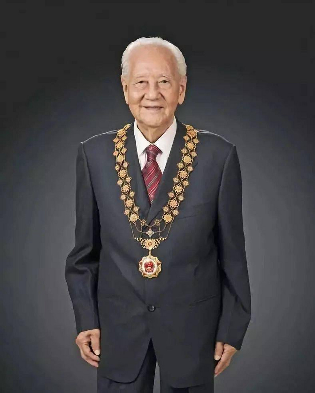 共和国勋章获得者，八位杰出的时代楷模，共和国勋章获得者，八位时代楷模闪耀时代光芒