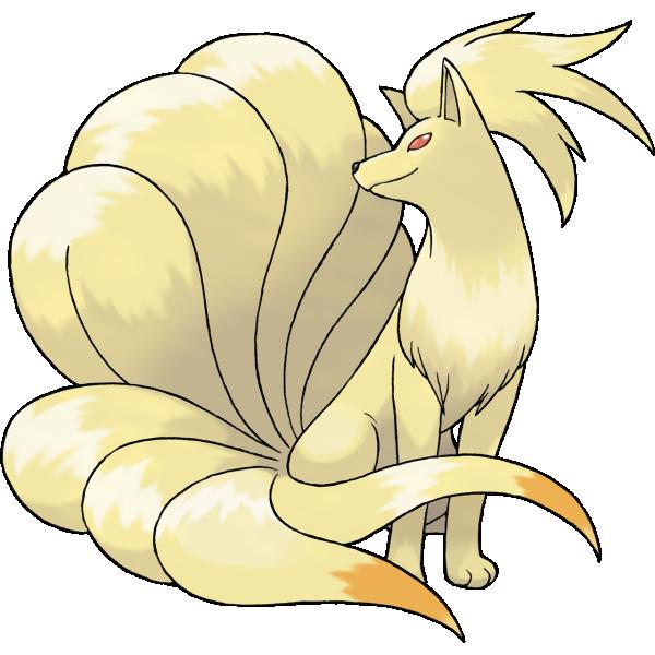 澳门 第596页