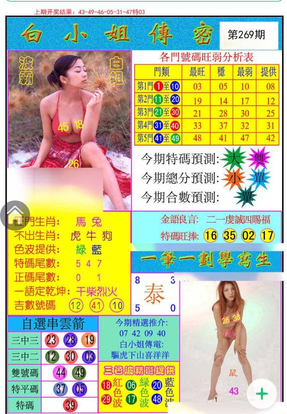 王中王白小姐一肖开奖，探索彩票背后的神秘与魅力，彩票背后的神秘与魅力，王中王白小姐一肖开奖探索