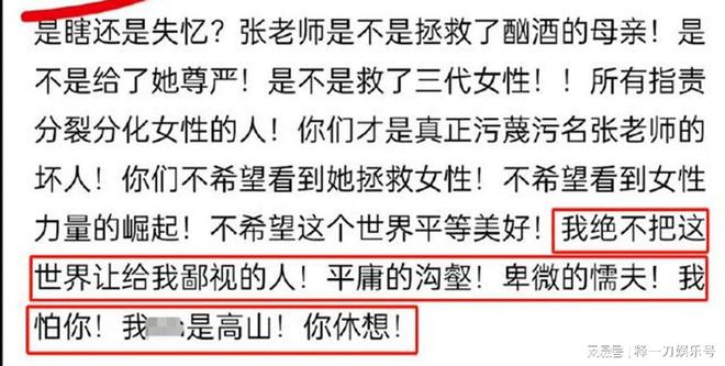 洪友谊的论述引发的广泛争议与讨论，洪友谊论述引发的热议与深度探讨