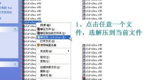 打开港澳宝典资料，探索港澳地区的文化、历史与社会发展，港澳宝典揭秘，文化、历史与社会发展的探索之旅