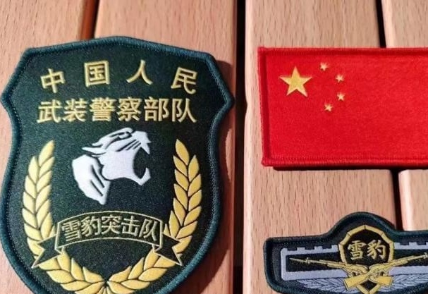 荣耀与使命 第2页