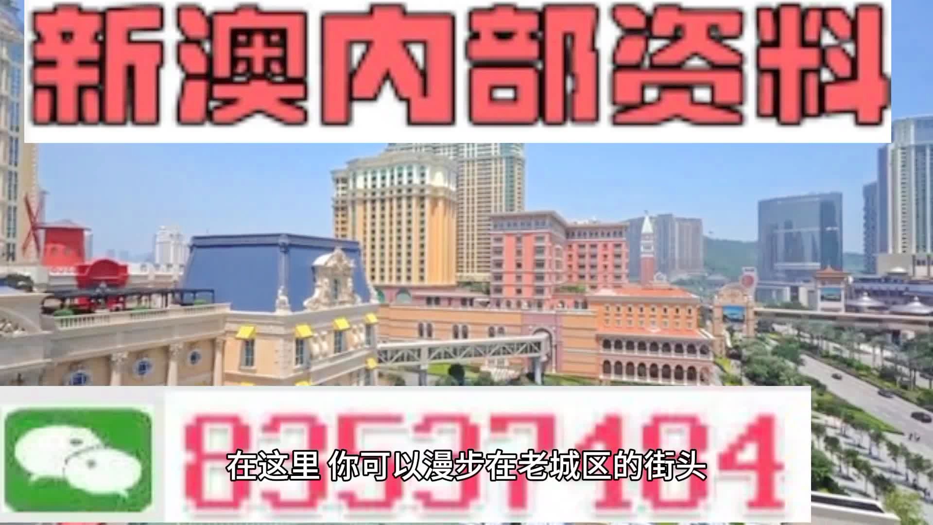 新澳门一肖一码中特，探索背后的奥秘与魅力，澳门一肖一码中特背后的奥秘与魅力探索