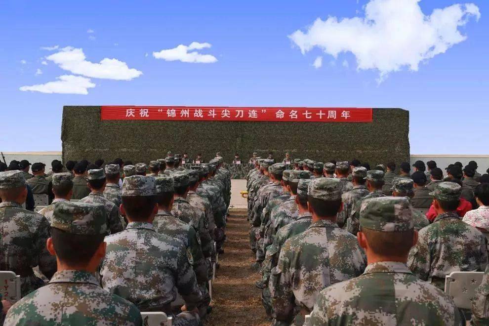 十四集团军四十一师一二三团历史，荣耀与传承，十四集团军四十一师一二三团，历史荣耀与传承之路