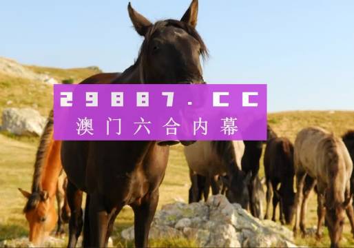 澳门管家婆一肖一码，揭秘精准预测背后的秘密，澳门管家婆一肖一码揭秘，精准预测背后的秘密探究