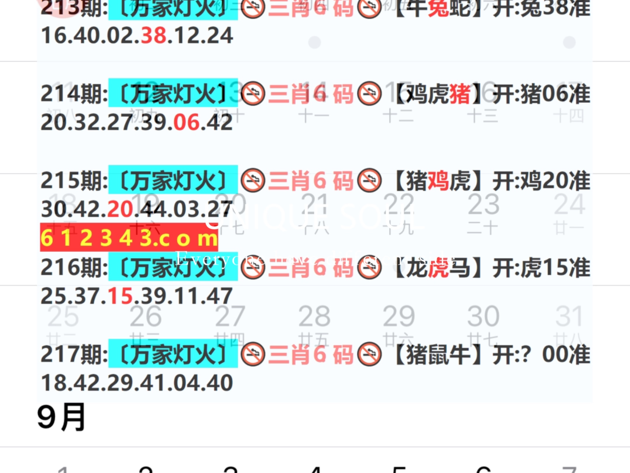 新澳门一肖一码，探索与解读，新澳门一肖一码，解读与探索之旅