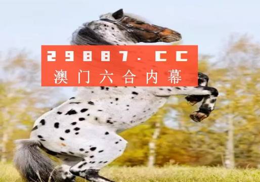 白小姐精准免费四肖