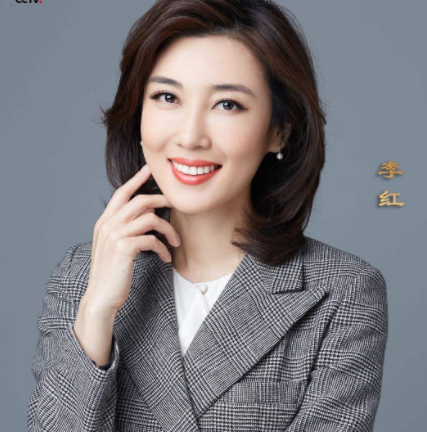海峡两岸新闻中的李红，连接两岸的桥梁与纽带，李红，海峡两岸新闻的桥梁与纽带人物