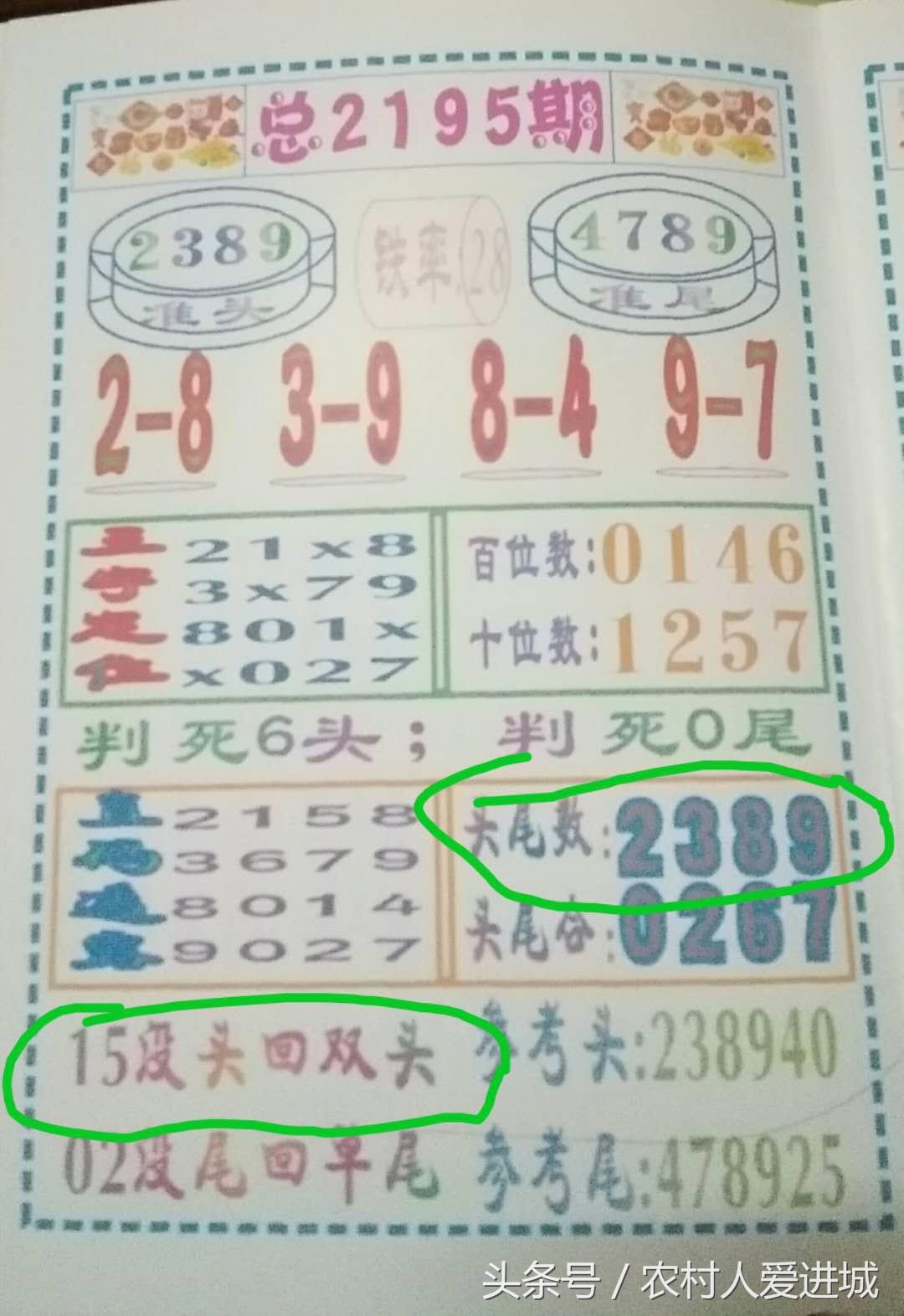澳门必开一肖二码，探索与解读，澳门必开一肖二码，深度解读与探索