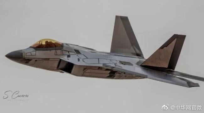 F8F熊猫战斗机和P-51D，究竟哪个更强？，F8F熊猫战斗机和P-51D性能对比，谁更强？