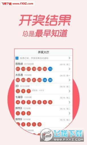 王中王一肖中二码，探索与解析，王中王一肖中二码，深度探索与解析