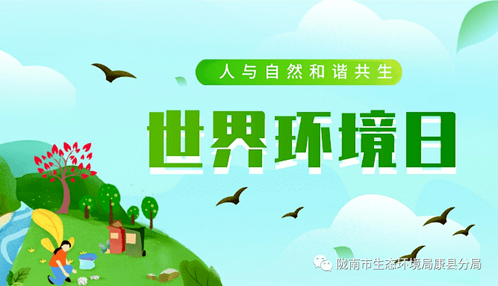 结果解析/详述