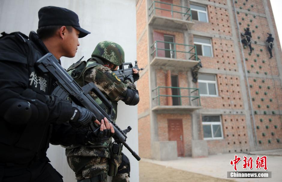 武警与公安对峙事件，深度解析与反思，武警与公安对峙事件，深度解析与反思背后的原因和启示