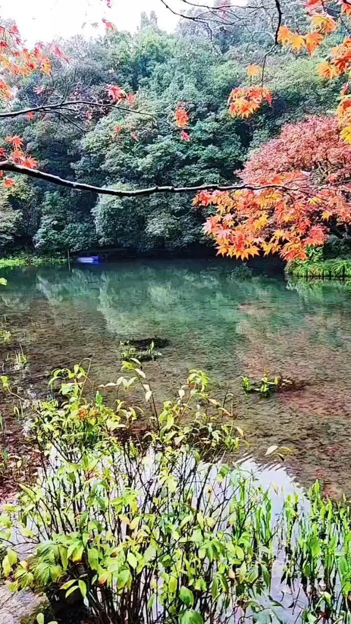 探索美不胜收的深邃意境，深邃意境中的美不胜收探索
