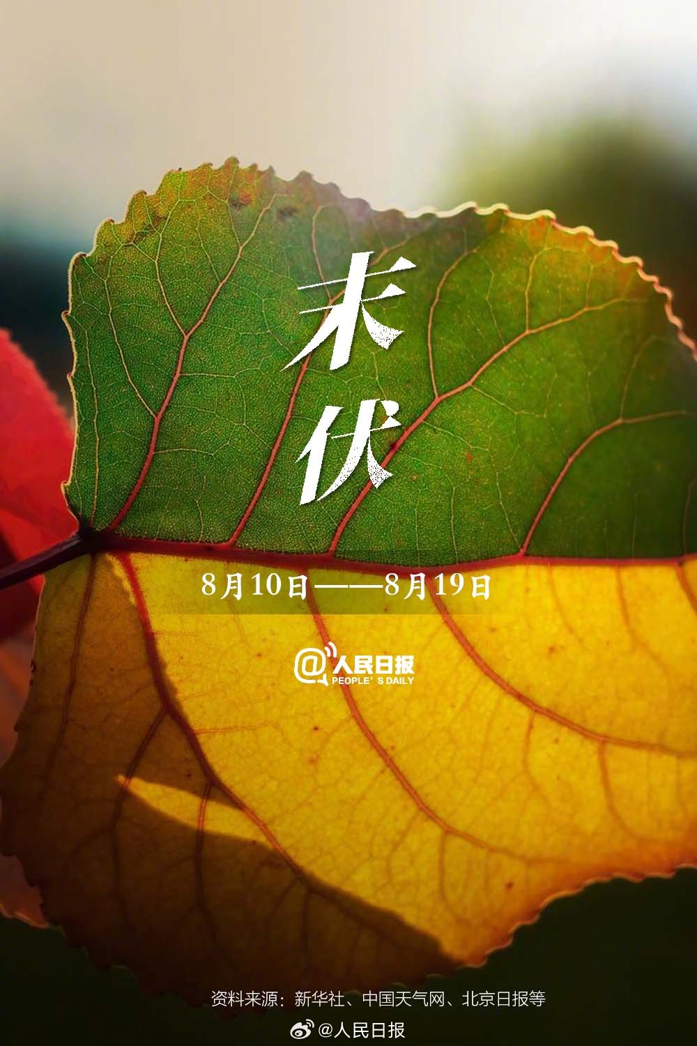 今天末伏来了——迎接末伏的来临与我们的准备，今日末伏来临，准备与应对之道