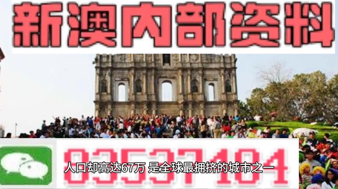 新澳门内部正版资料大全，探索与解读，澳门内部正版资料大全，深度探索与解读