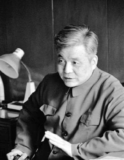邓稼先，伟大的科学家与民族英雄的评价，邓稼先，伟大科学家与民族英雄的双重荣光