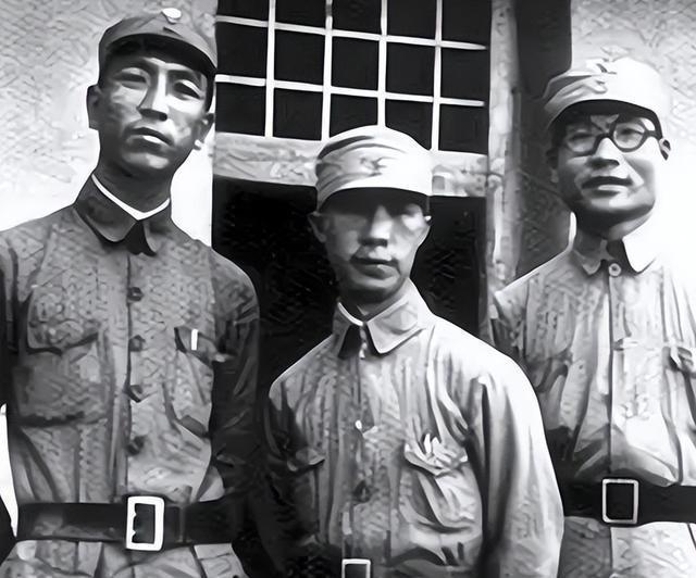 海南岛战役的时间，历史回顾与意义深远，海南岛战役，历史回顾与深远意义