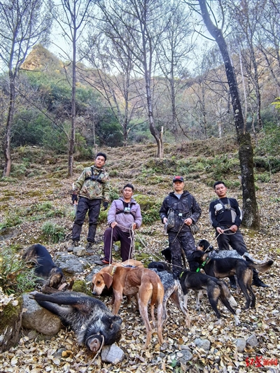 中国有猎人职业吗，历史、现状及其未来展望，中国猎人职业的历史、现状与未来展望