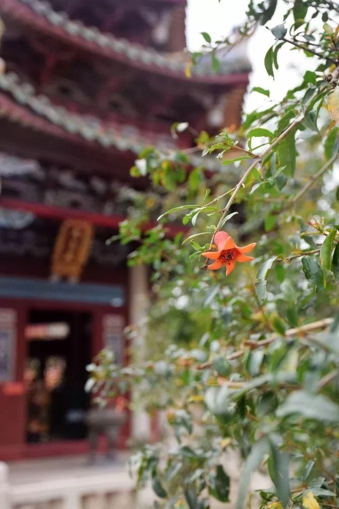 泉州承天寺，历史与文化的交融之地，泉州承天寺，历史与文化交融的瑰宝