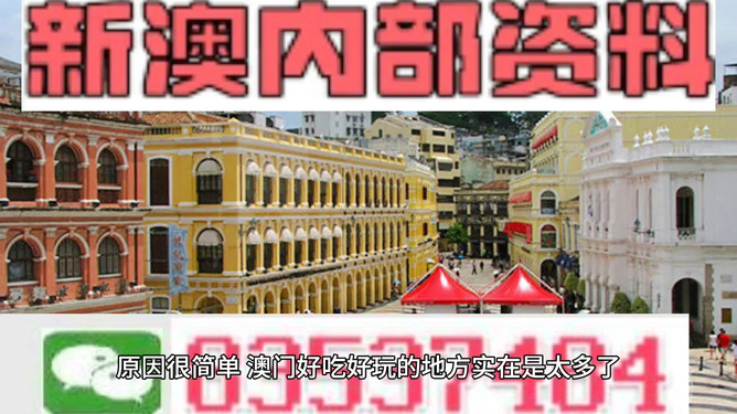 新澳门内部免费资料精准大全，探索与解读，新澳门内部免费资料精准探索与深度解读