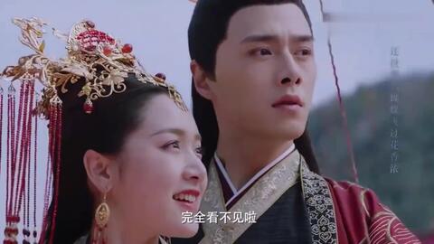 王中王王的妃子一肖，宫廷风云中的传奇故事，宫廷传奇，王的妃子一肖与风云变幻的故事