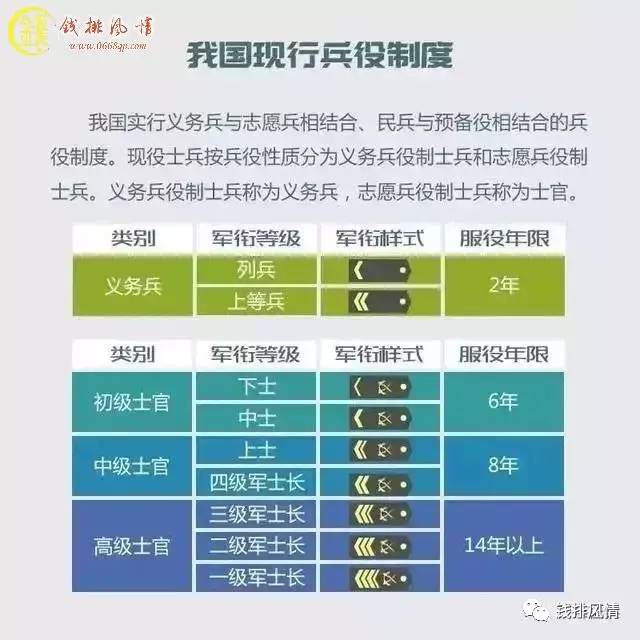 我国服兵役政策，背景、内容与展望，我国服兵役政策概览，背景、内容与未来展望