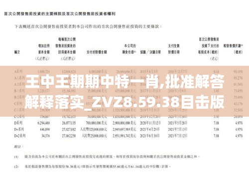 王中王一肖平一肖特，探索卓越之路，王中王一肖平一肖特，卓越之路探索