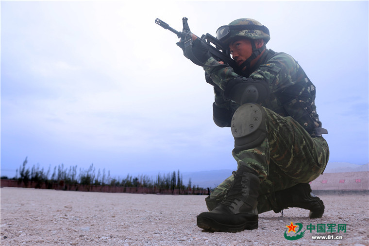 探索中国兵器，95杠1式自动步枪图片及其特点，探索中国兵器，揭秘95杠1式自动步枪图片与特点解析