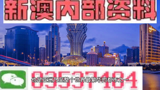 新澳门正版精准免费大全，探索与解析，澳门正版精准资料探索与解析大全
