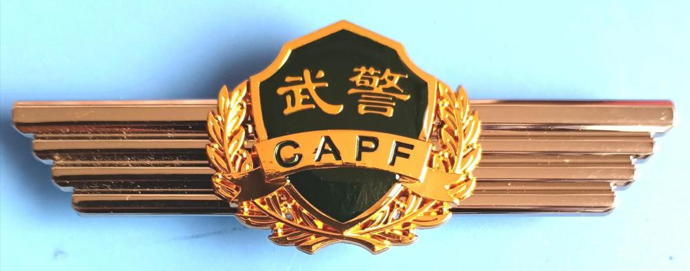 中国人民武装警察部队国宾护卫队，荣耀与责任的象征，中国人民武装警察部队国宾护卫队，荣耀与责任的体现