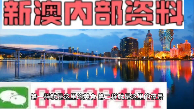 澳门免费精准大全，探索4949的魅力与奥秘，澳门免费精准大全揭秘，探索4949的魅力与奥秘之旅