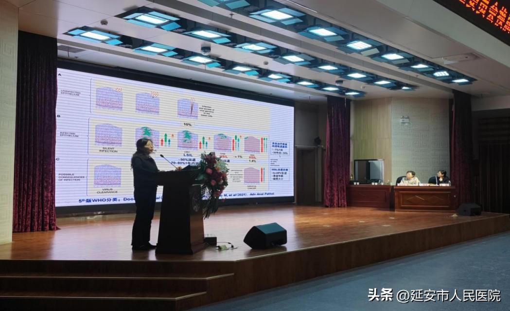 2023年中国空军题材电影的展望与期待，2023年中国空军题材电影的展望与期待，腾飞之翼
