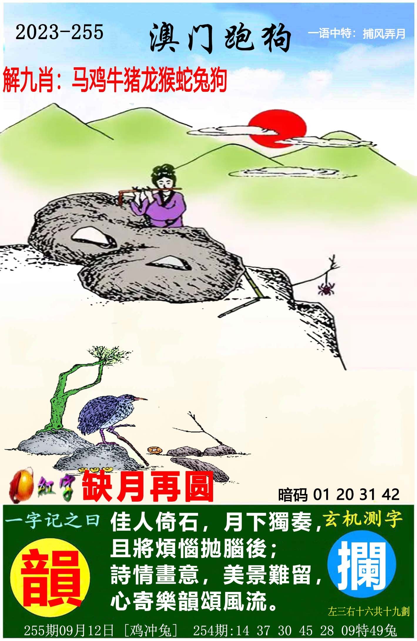澳门天天开好彩大全第53期，探索未来的幸运之旅，澳门第53期天天开好彩，开启未来幸运之旅探索