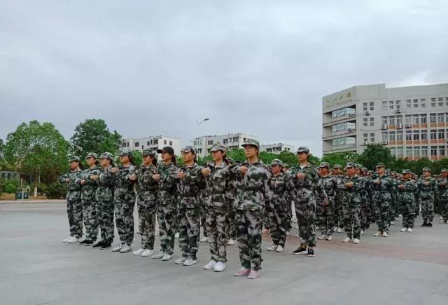 九图军事老师，塑造军事教育的未来之星，九图军事老师，塑造未来军事教育之星