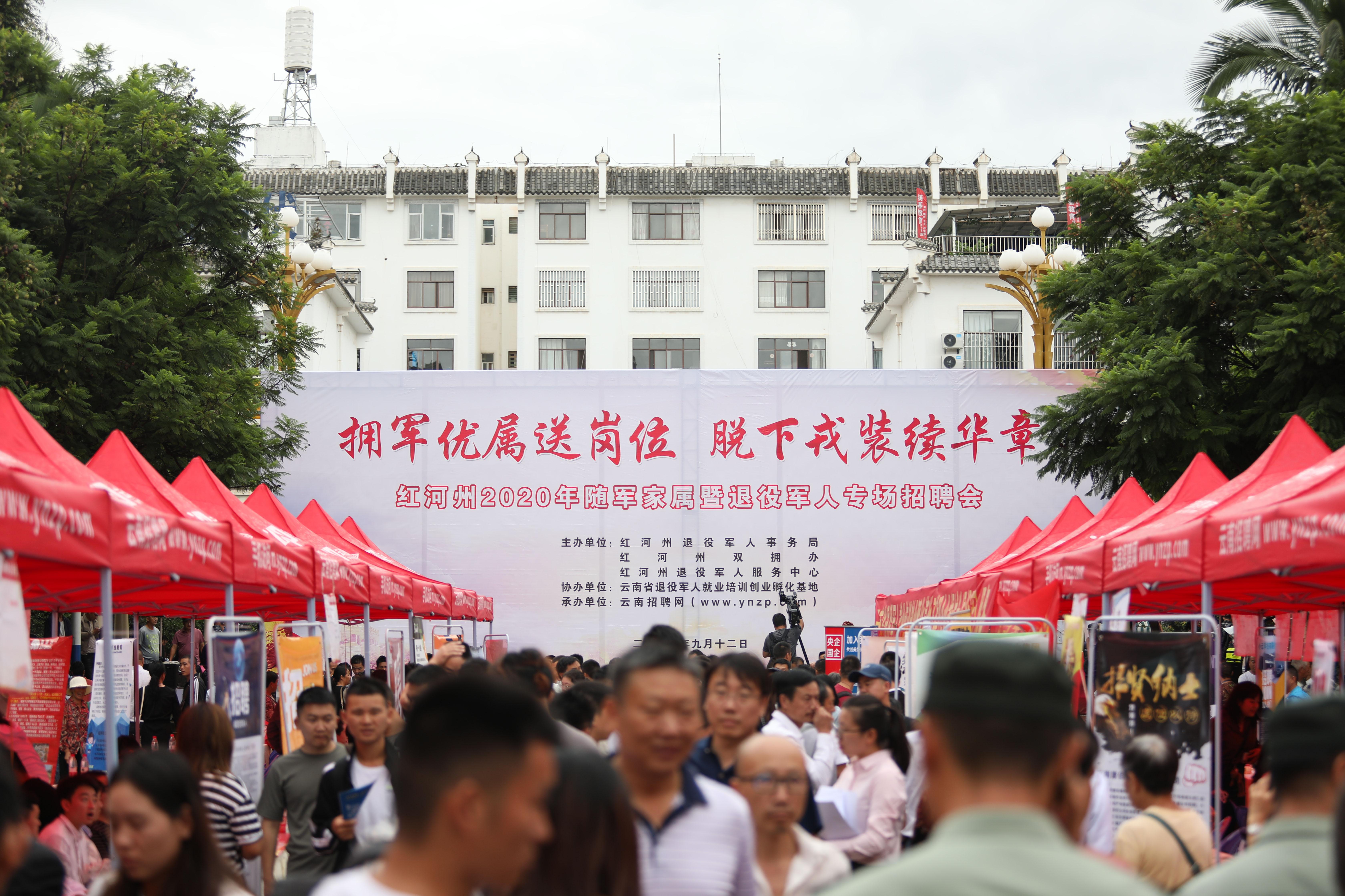 最新招聘动态深度解析（或深度剖析）