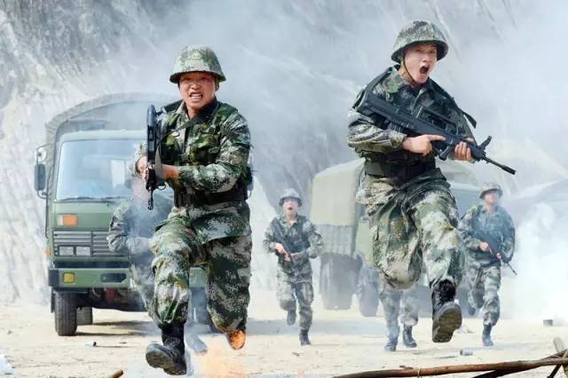 陆军兵种，多样性与战略力量的体现，陆军兵种，多样性与战略力量的展现