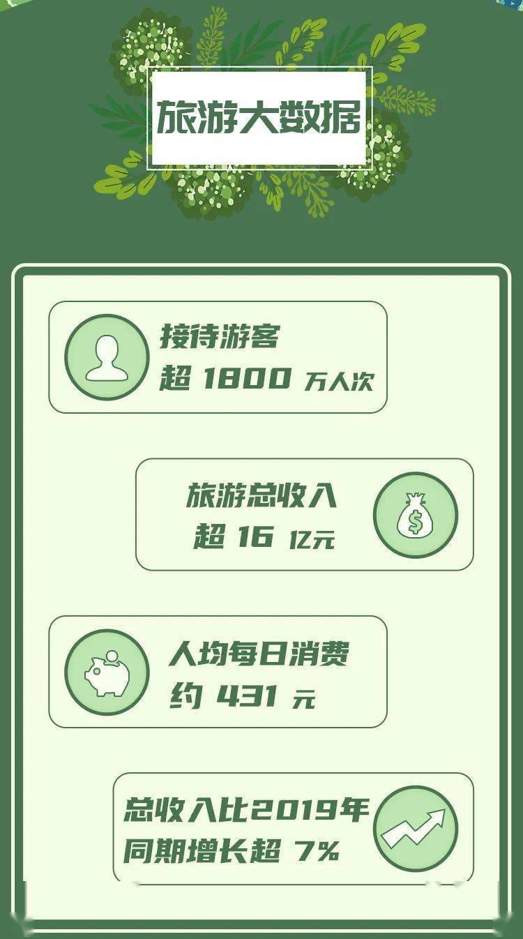 2021也门战争最新消息，冲突现状、影响及未来展望，2021也门战争最新动态，冲突现状、影响及未来展望