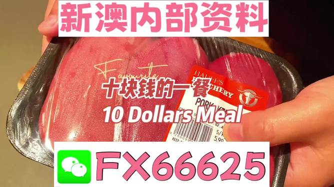 新澳精准正版资料免费，探索与解析，新澳精准正版资料免费解析探索